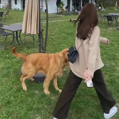 萌子美 虽然她有点怪